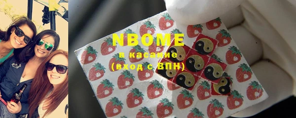 хмурый Сосновый Бор