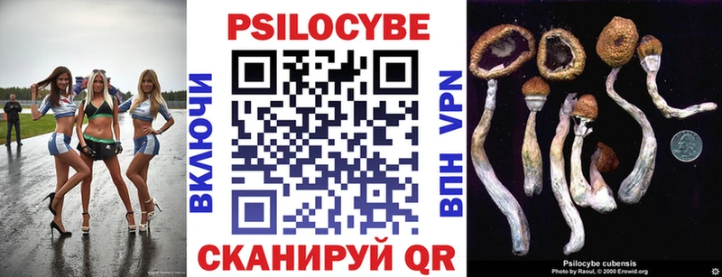 blacksprut ССЫЛКА Дальнегорск Галлюциногенные грибы Psilocybine cubensis наркота