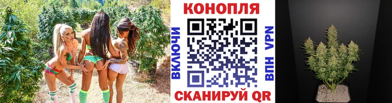 нарко площадка официальный сайт  Дальнегорск  Бошки Шишки гибрид  продажа наркотиков 